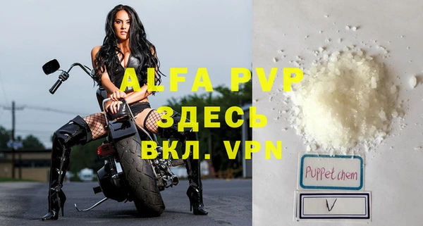 ешки Арсеньев