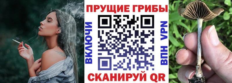 нарко площадка телеграм  закладка  Починок  Галлюциногенные грибы мухоморы  blacksprut ONION 