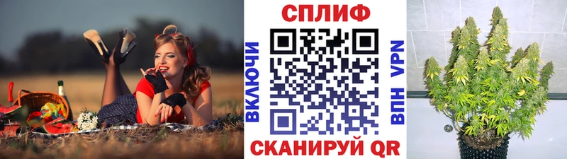 продажа наркотиков  Починок  Бошки Шишки сатива 